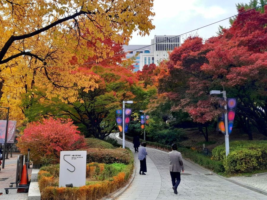 5대 궁궐의 가을 (사진많음)_6.jpg