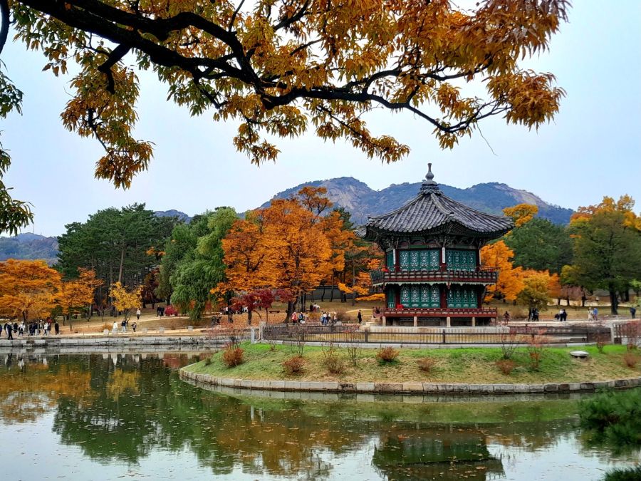5대 궁궐의 가을 (사진많음)_13.jpg