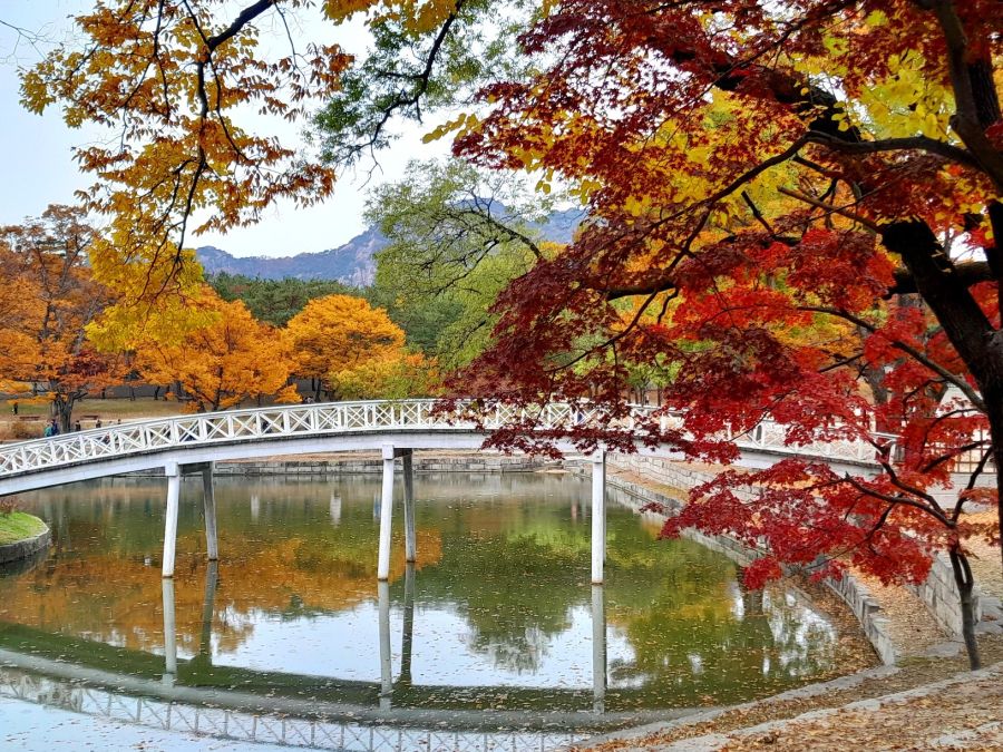 5대 궁궐의 가을 (사진많음)_14.jpg