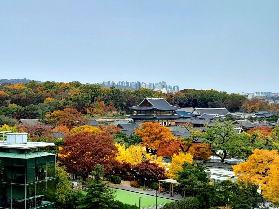 5대 궁궐의 가을 (사진많음)_15.jpg