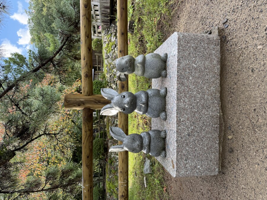 11월 2~7 5박6일 돗토리 요나고 여행 2일차 마쓰에.(스압)_15.jpg