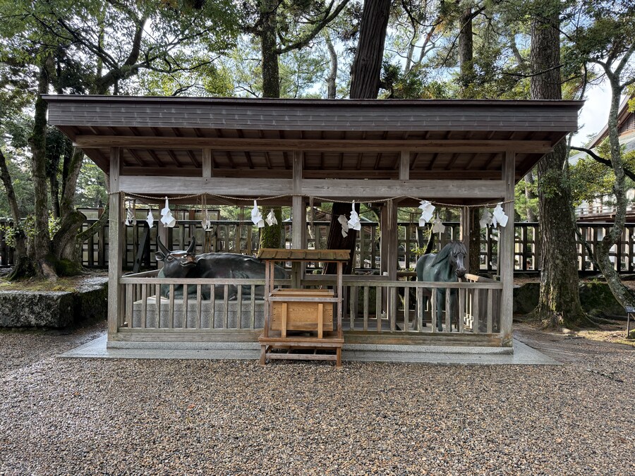 11월 2~7 5박6일 돗토리 요나고 여행 2일차 마쓰에.(스압)_22.jpg