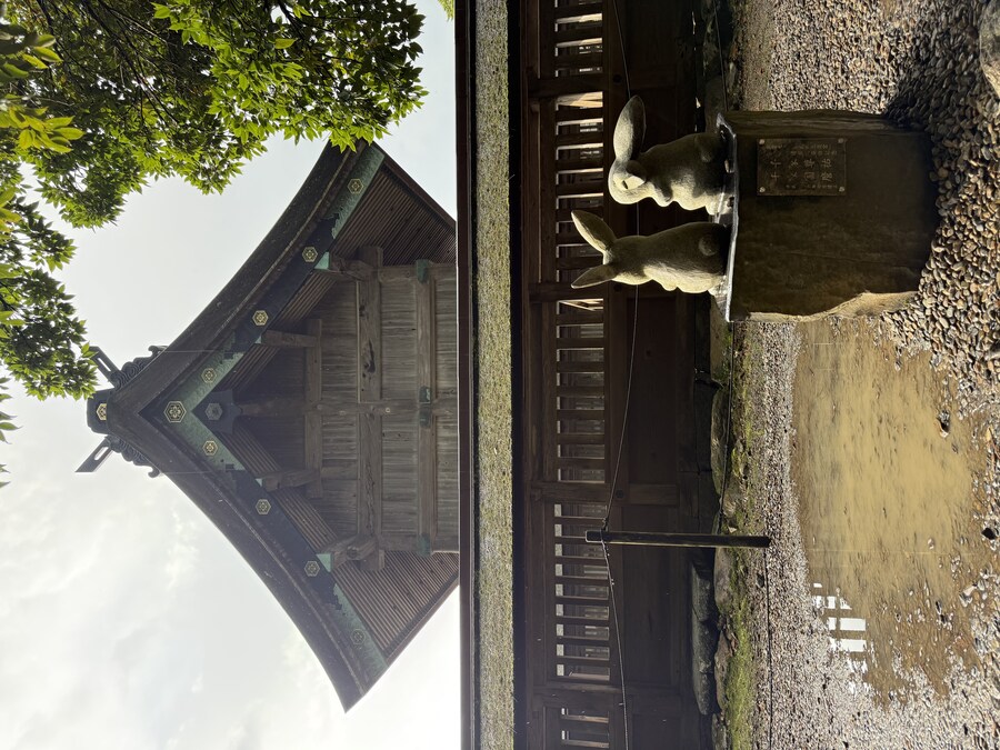 11월 2~7 5박6일 돗토리 요나고 여행 2일차 마쓰에.(스압)_26.jpg