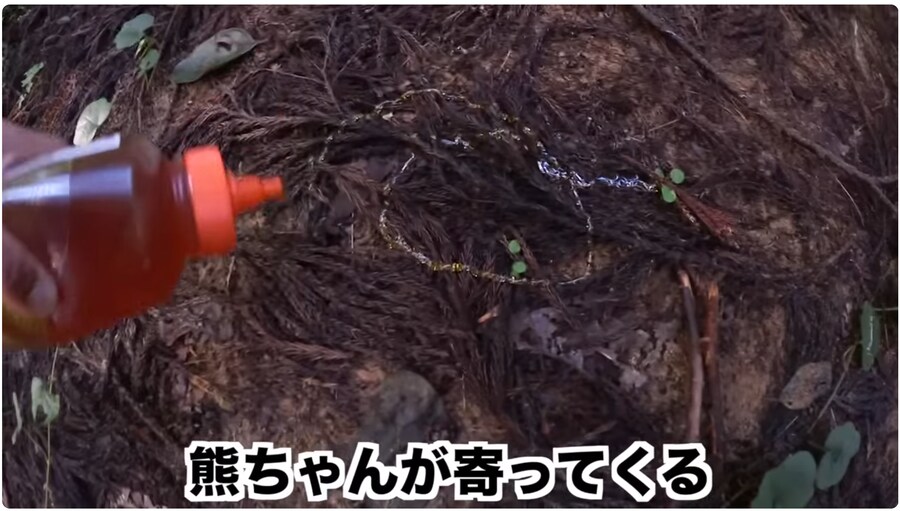 조회수에 미쳐 곰을 만나러 간 일본의 어느 유튜버_5.png