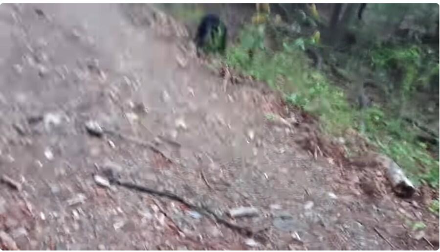 조회수에 미쳐 곰을 만나러 간 일본의 어느 유튜버_8.png