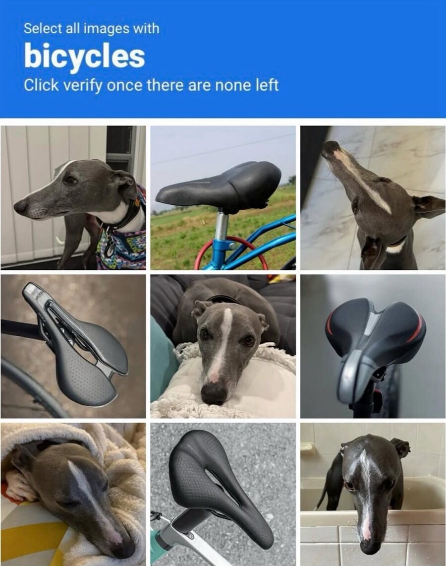 그녀석은 가짜에오_1.jpg