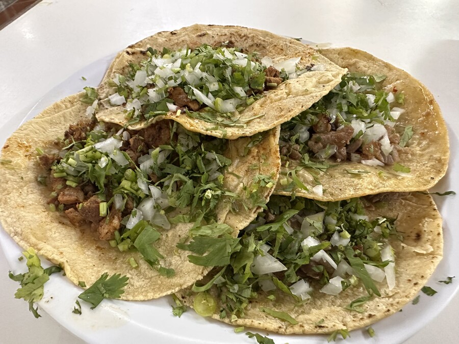 멕시코 미식의 도시 와하카(Oaxaca)_16.jpg