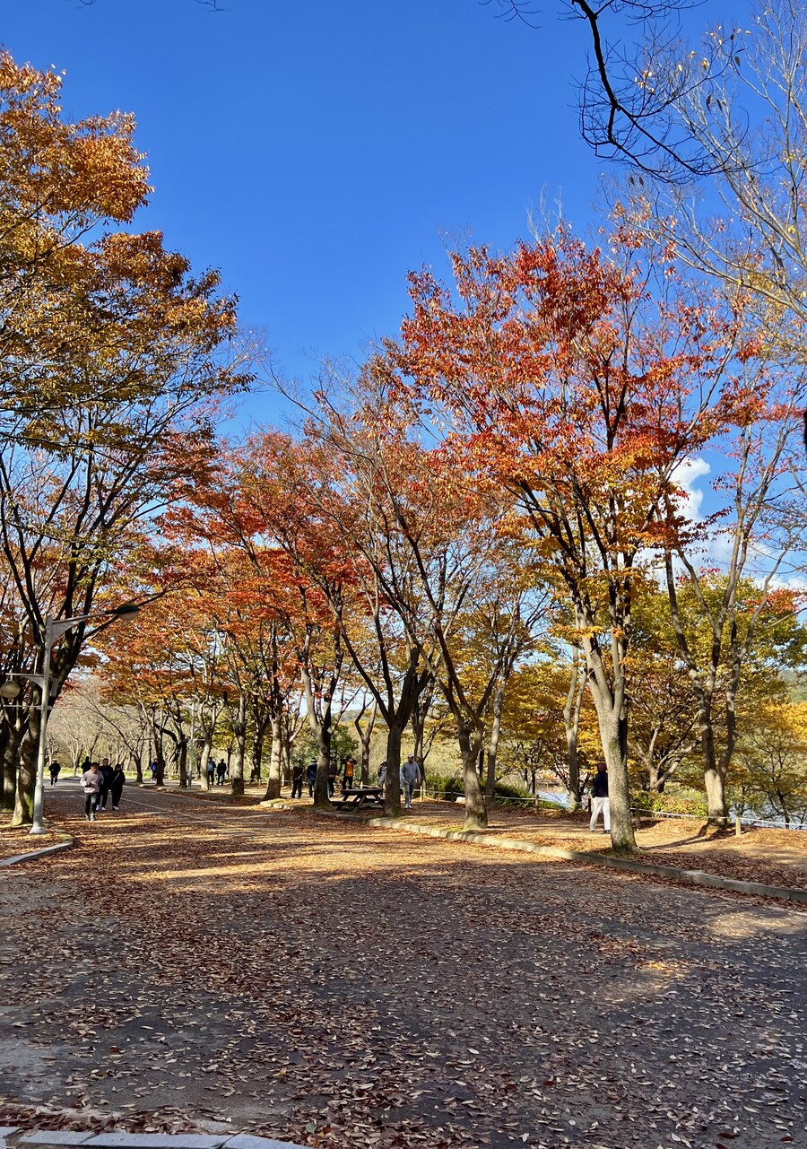 가을 구경_10.jpg