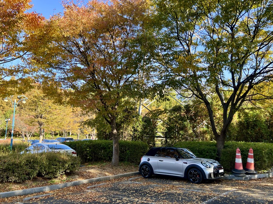 가을 구경_12.jpg