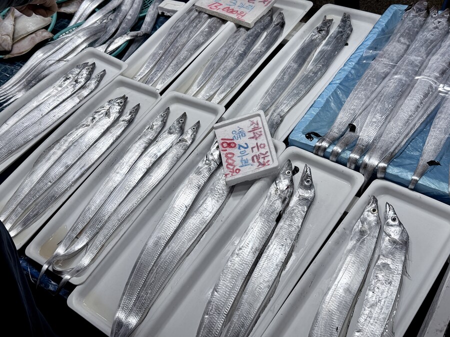 직접만든 닭곰탕, 사먹은 치킨_9.jpg