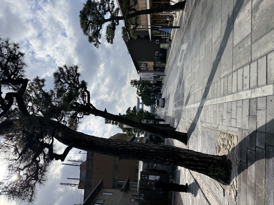 11월 2~7 5박6일 돗토리 요나고 여행 2일차 마쓰에.(스압)_33.jpg