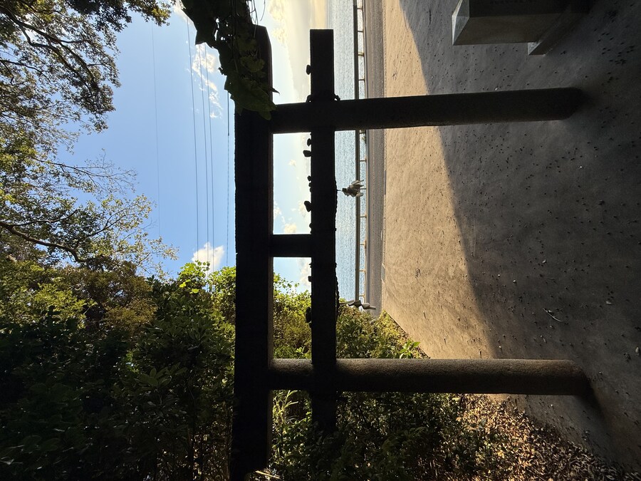 11월 2~7 5박6일 돗토리 요나고 여행 2일차 마쓰에.(스압)_65.jpg