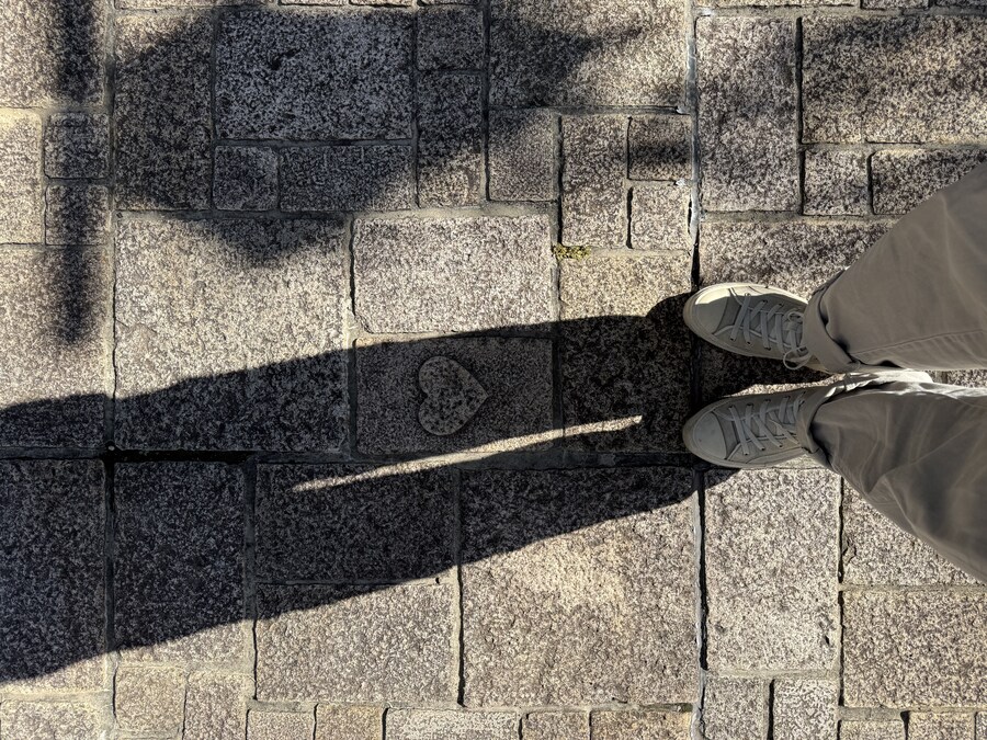 11월 2~7 5박6일 돗토리 요나고 여행 3일차 마쓰에>요나고.(스압)_23.jpg