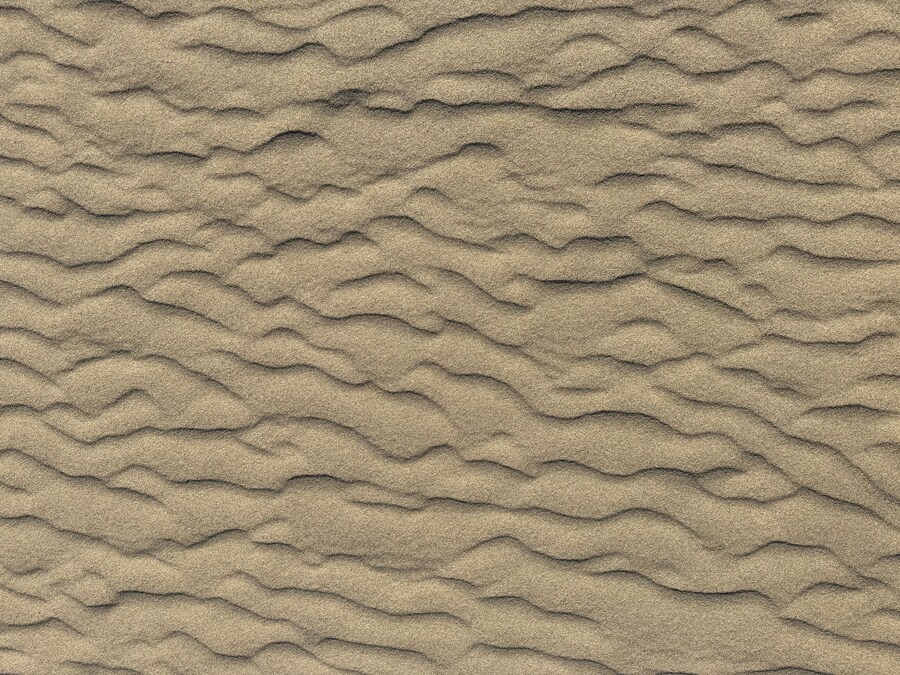 11월 2~7 5박6일 돗토리 요나고 여행 4일차 돗토리부터 훑어오기(스압)_5.jpg