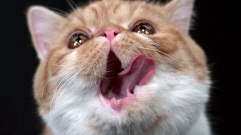 1월 6일에 넷플릭스에 공개되는 이 영화를 아시나요?.movie_22.jpg