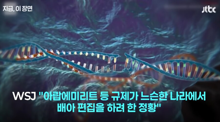 '유전자 조작 아기' 논란._7.png