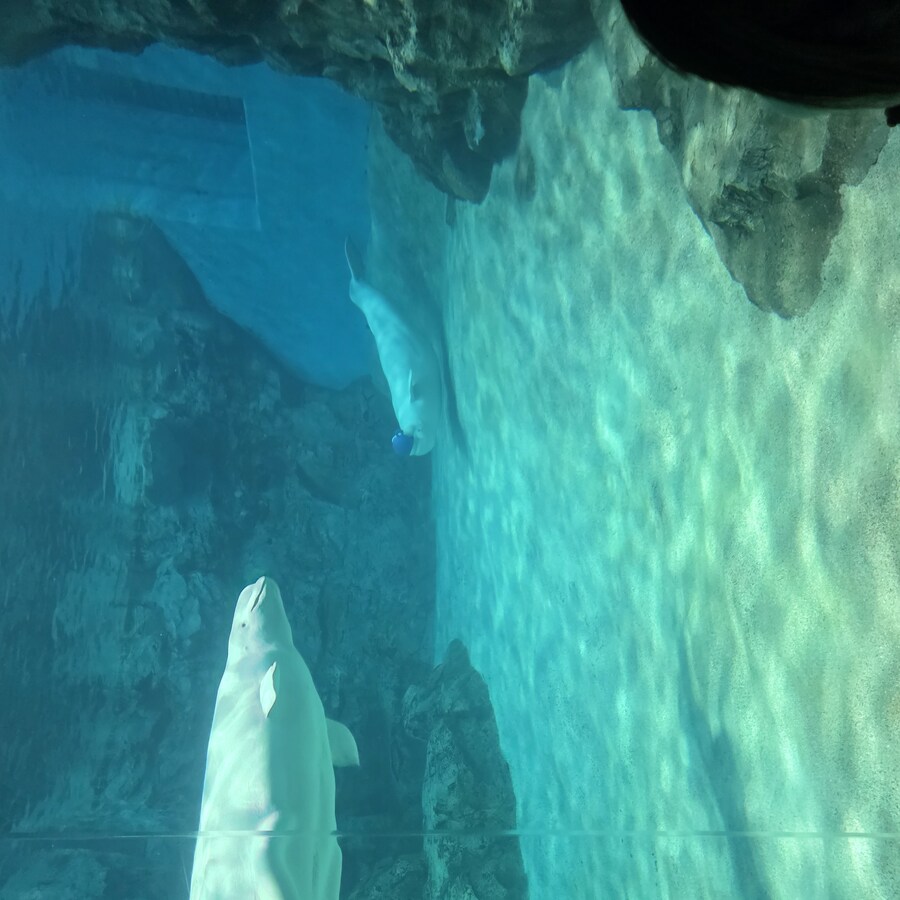 유게이들이 제일 좋아하는거 쪄왔다_1.jpg