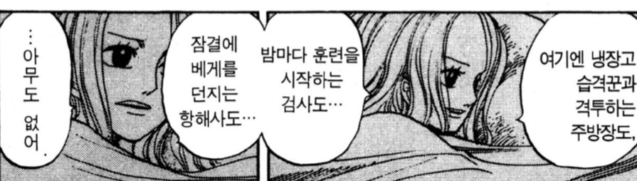 원피스에서 흔히 오해하는 잘못된 설정 TOP5_7.png