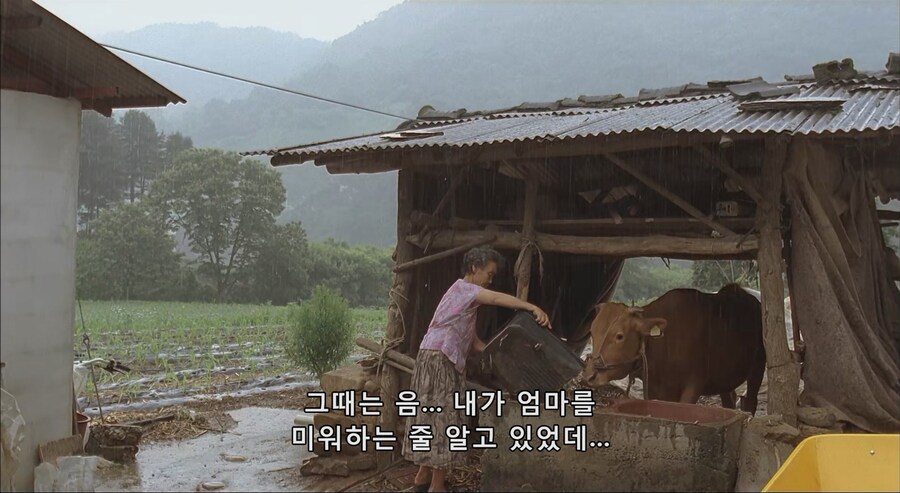 다방레지한테 방송시켰다 대형참사.JPG_20.jpg