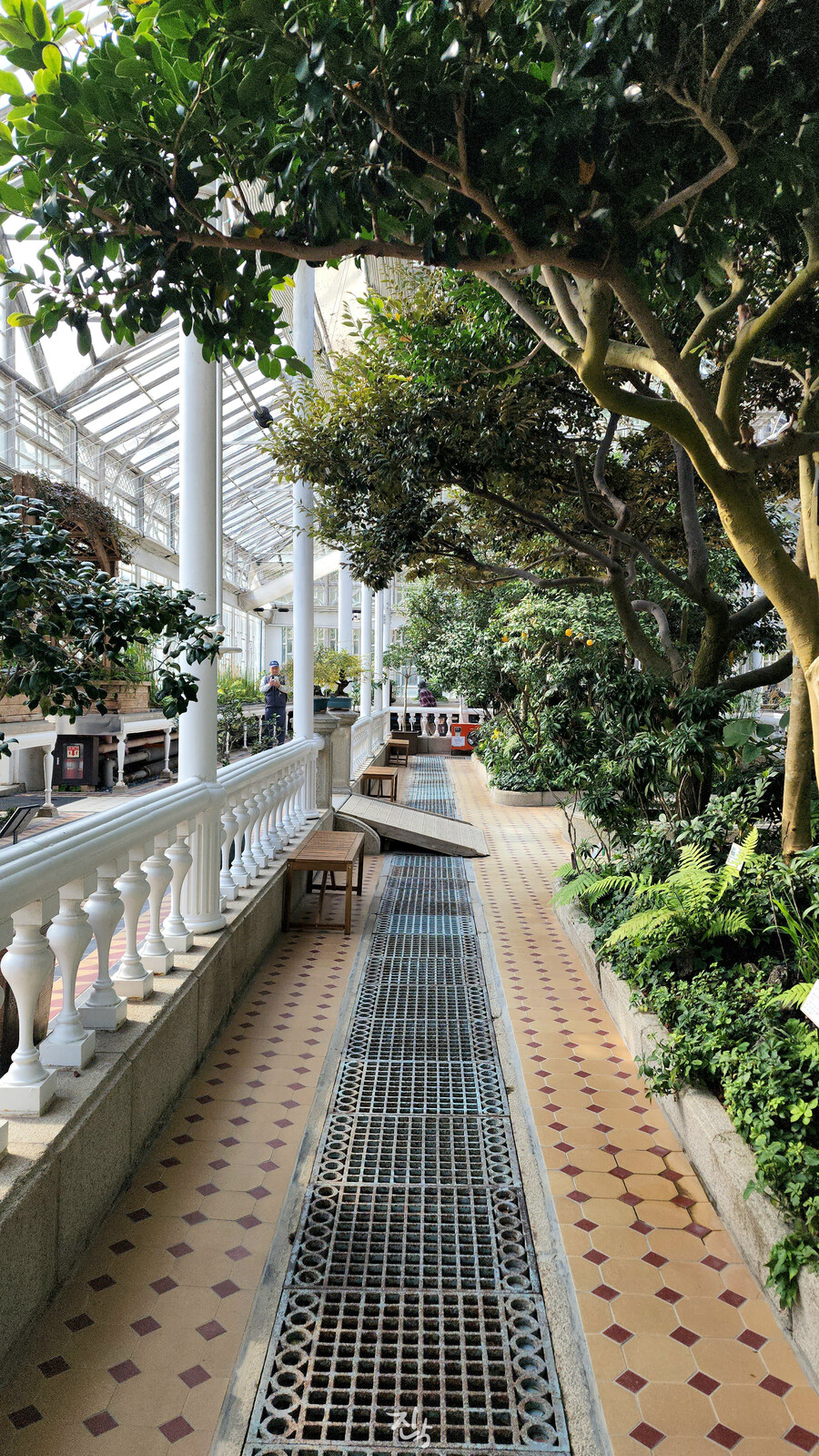 [사진많음] 창경궁, 춘당지 일원 & 가을끝자락_7.jpg