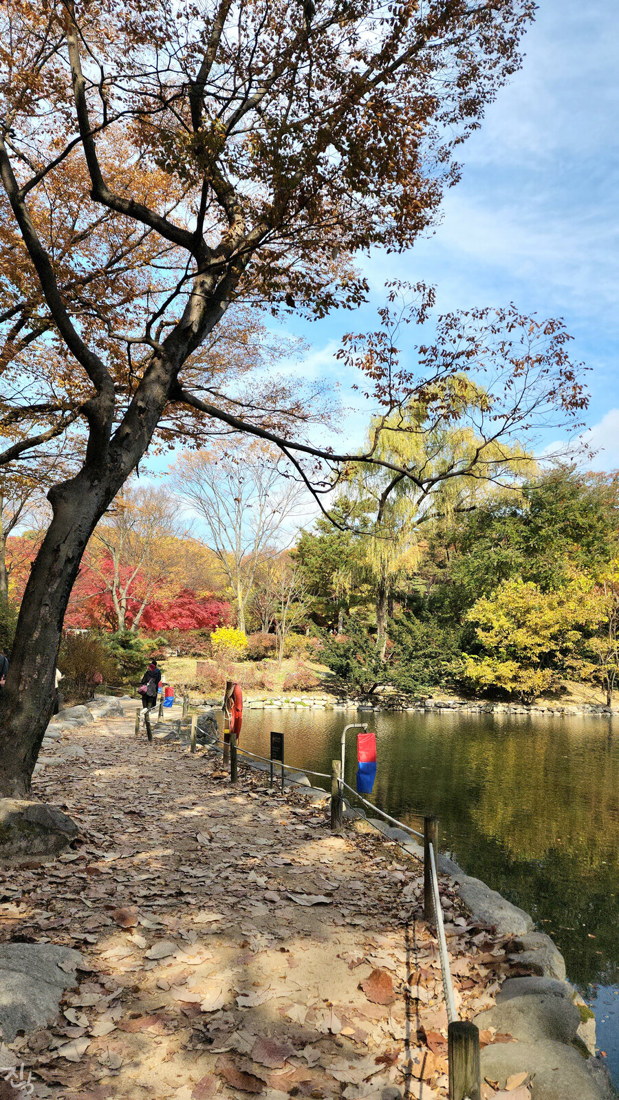 [사진많음] 창경궁, 춘당지 일원 & 가을끝자락_16.jpg