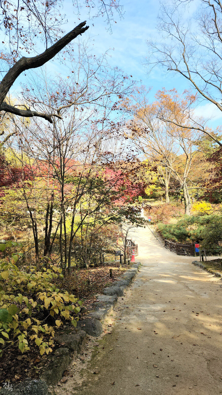 [사진많음] 창경궁, 춘당지 일원 & 가을끝자락_12.jpg