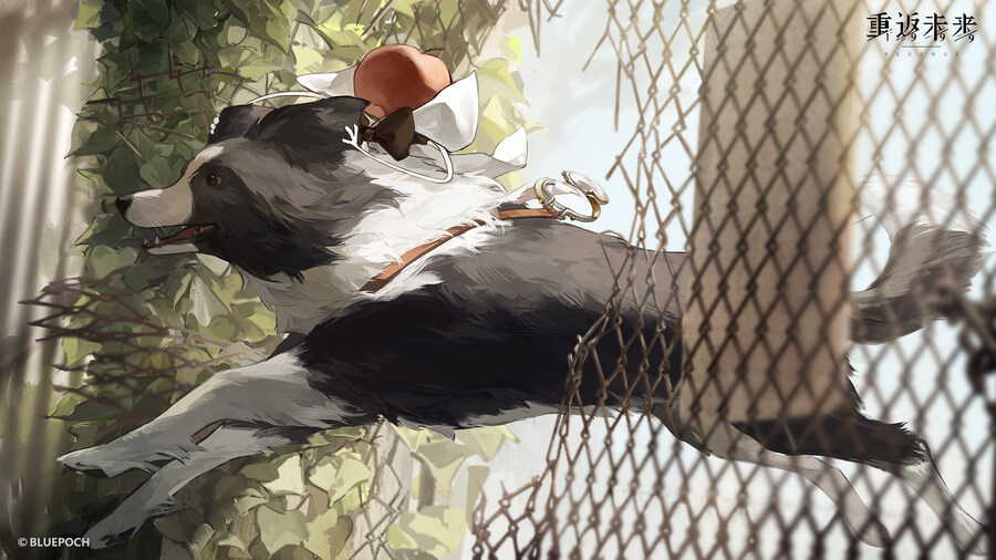 리버스1999) 보더 콜리와 사과의 우정_2.jpg