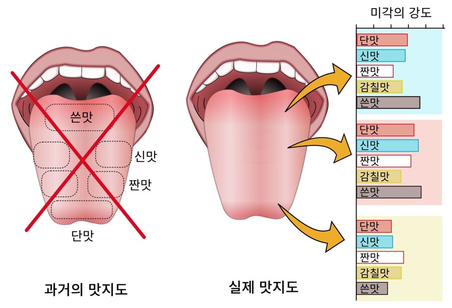 전 인류가 70년간 믿어온 유사과학.jpg_1.jpg