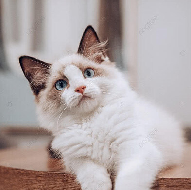 "난 이 영화가 OTT에 공개되는게 싫어"_13.jpg