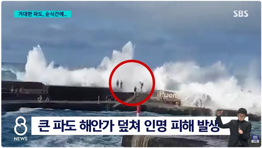 파도 구경하다가 사망_2.png