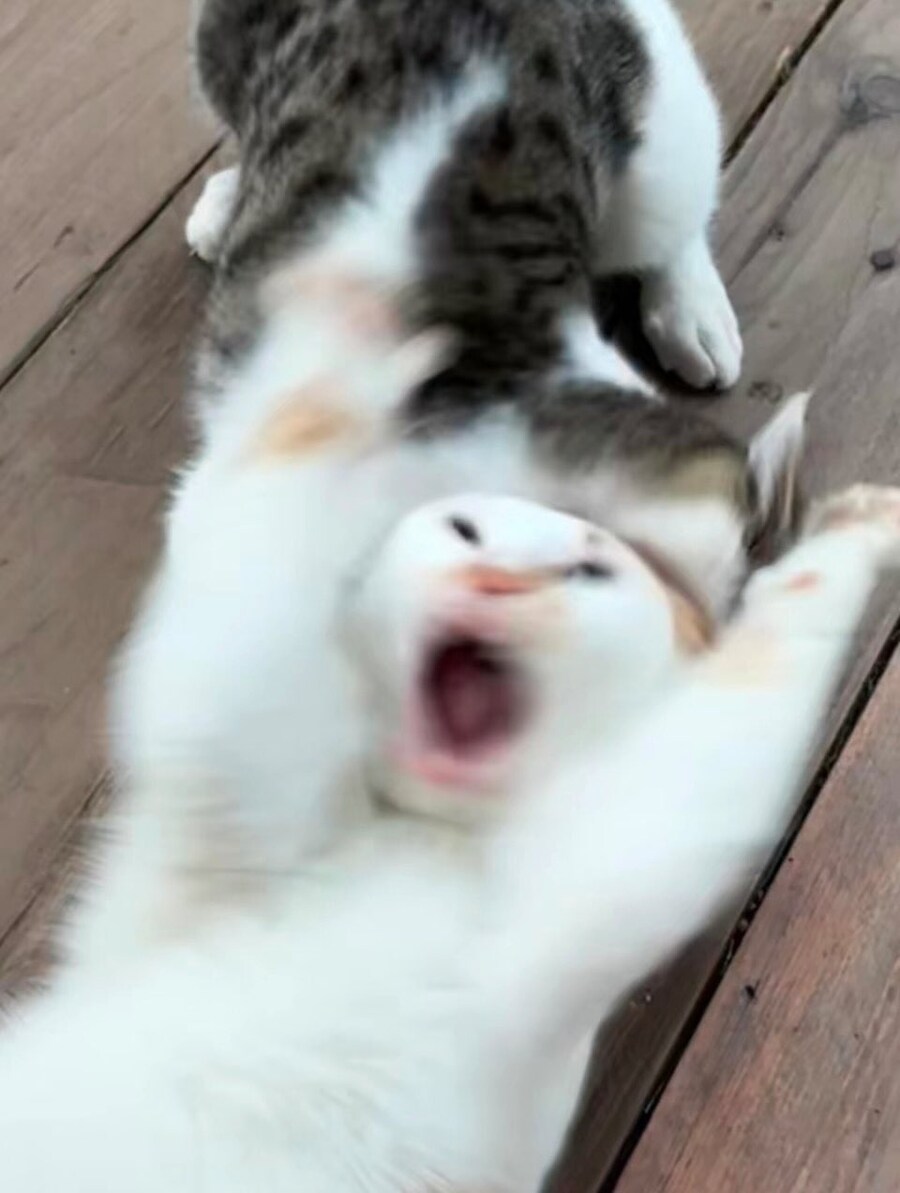 수능 끝나고 중국집,치킨,피자 가게 상황 ㅌㅋㅋㅋ_2.jpg