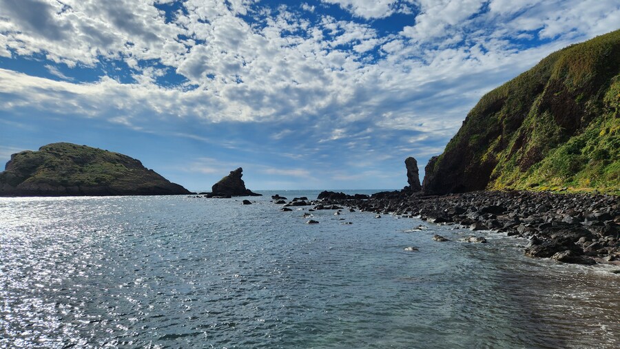 수녀님이 좋아하실만한 사진_6.jpg