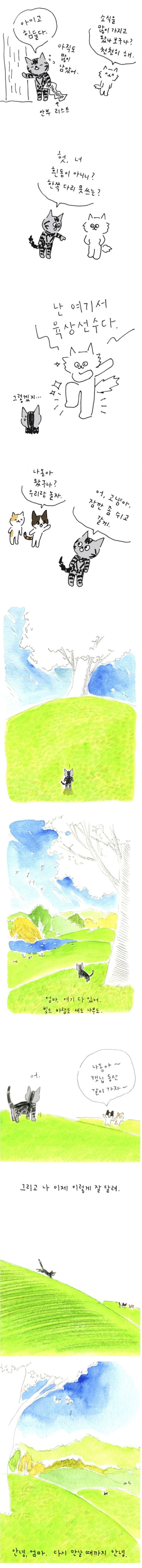 사람이 죽으면 먼저 가있던 반려동물이 마중나온다_3.jpg