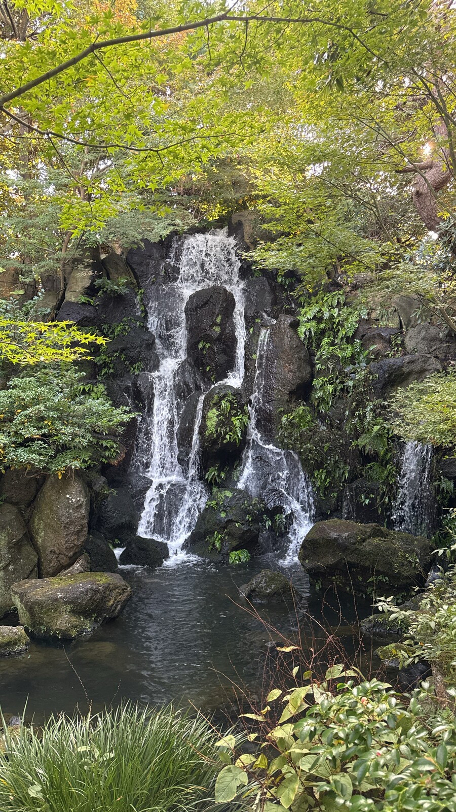 11월 2~7 5박6일 돗토리 요나고 여행 5일차 및 귀국까지.(스압)_30.jpg