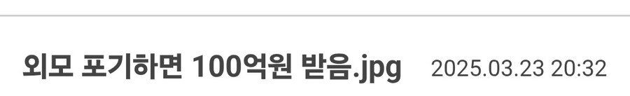 외모 포기하면 100억원 받음.jpg_1.jpg