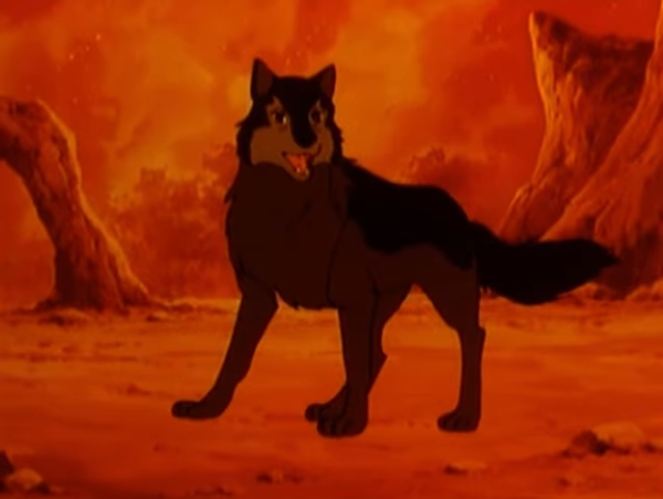 [정글북:소년 모글리] 호랑이 vs 늑대_10.jpg