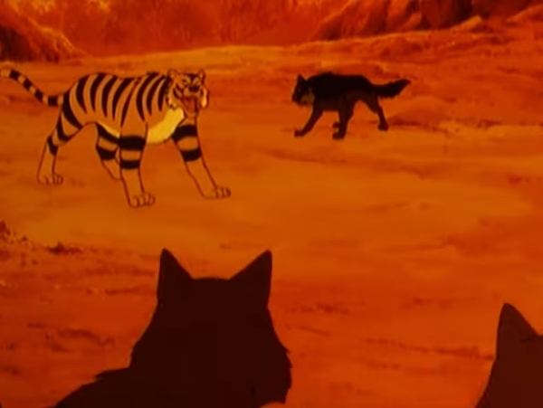 [정글북:소년 모글리] 호랑이 vs 늑대_12.jpg