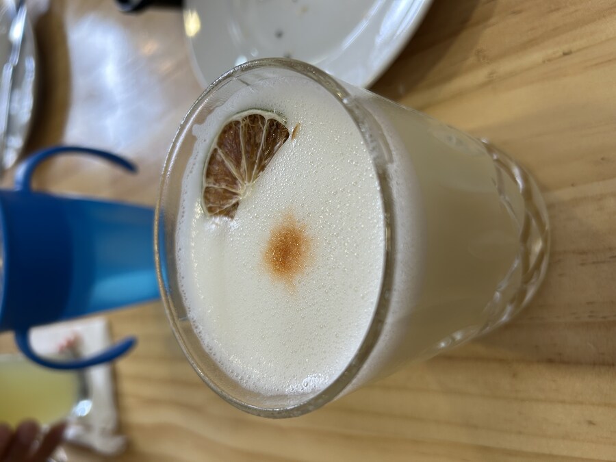 칠레 처갓집 방문기 (2) 4-6일차 : 발파라이소 / 비냐 델 말_3.jpg