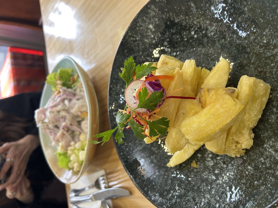 칠레 처갓집 방문기 (2) 4-6일차 : 발파라이소 / 비냐 델 말_5.jpg