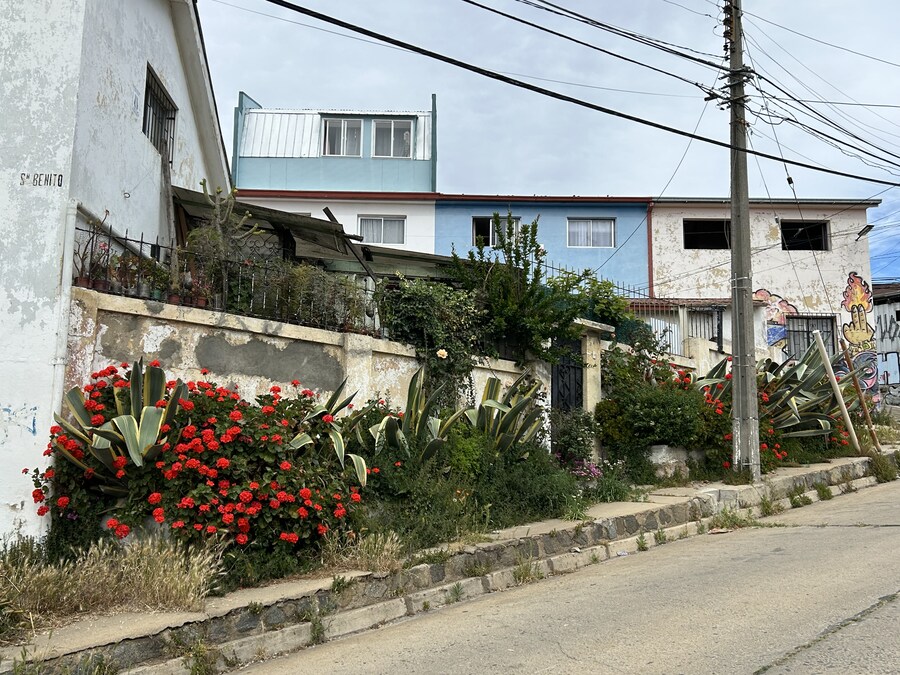 칠레 처갓집 방문기 (2) 4-6일차 : 발파라이소 / 비냐 델 말_10.jpg