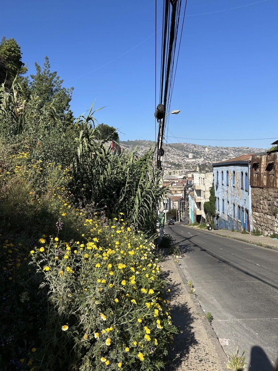 칠레 처갓집 방문기 (2) 4-6일차 : 발파라이소 / 비냐 델 말_17.jpg