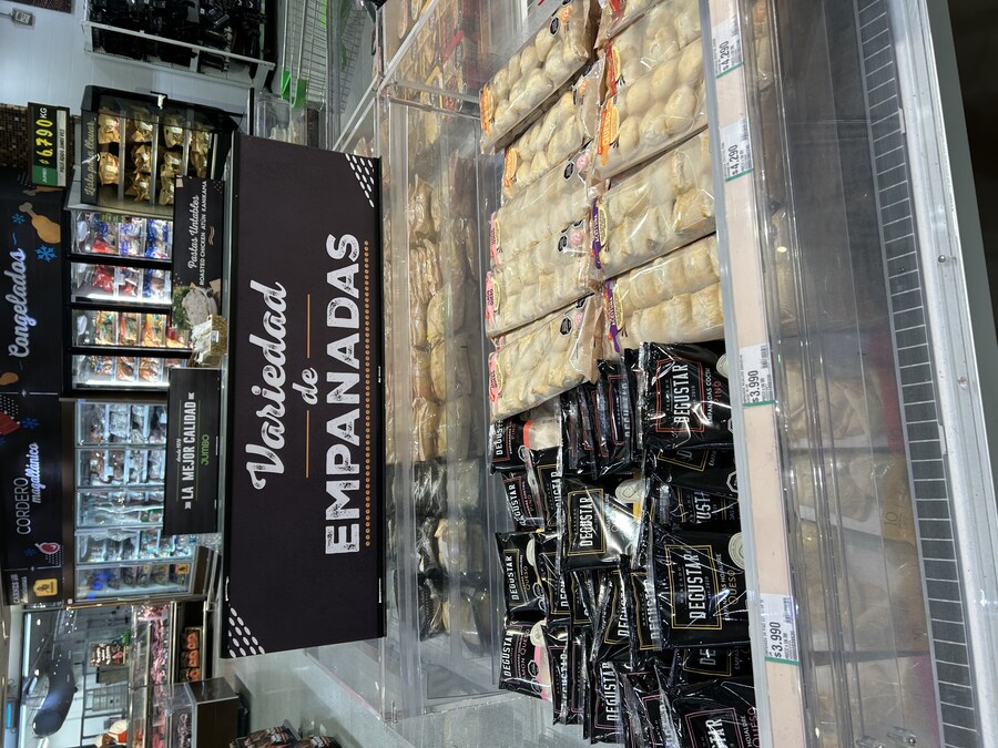 칠레 처갓집 방문기 (2) 4-6일차 : 발파라이소 / 비냐 델 말_23.jpg