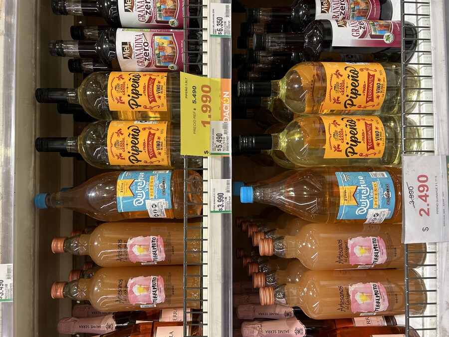 칠레 처갓집 방문기 (2) 4-6일차 : 발파라이소 / 비냐 델 말_29.jpg