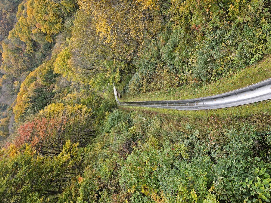 단풍과 이끼. 니가타 9박10 여행 - 2_22.jpg