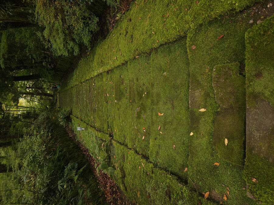 단풍과 이끼. 니가타 9박10 여행 - 2_38.jpg