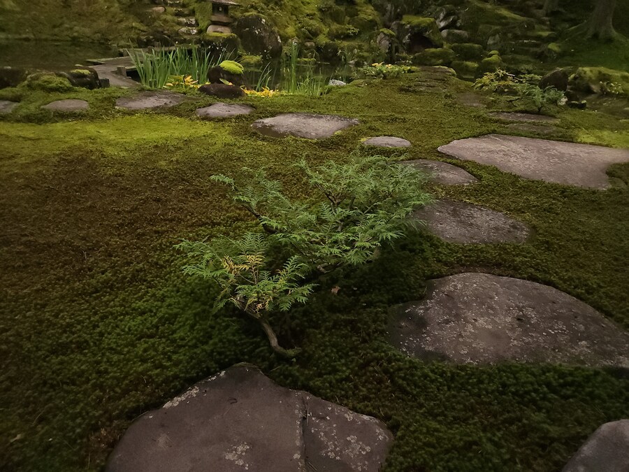 단풍과 이끼. 니가타 9박10 여행 - 2_35.jpg