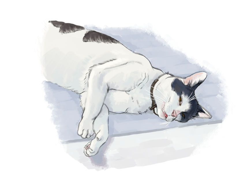 남의집 고양이 보고가이소_1.png