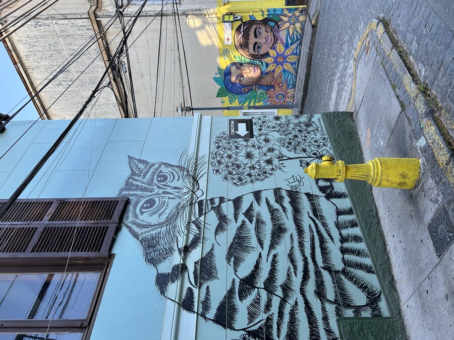 칠레 처갓집 방문기 (2) 4-6일차 : 발파라이소 / 비냐 델 말_64.jpg