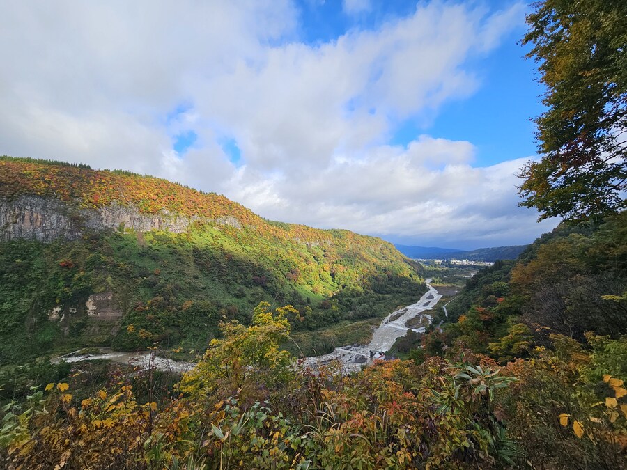 단풍과 이끼. 니가타 9박10 여행 - 3_2.jpg