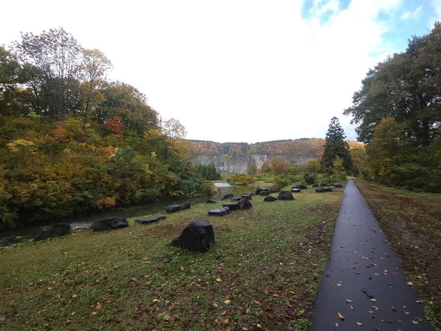 단풍과 이끼. 니가타 9박10 여행 - 3_3.jpg